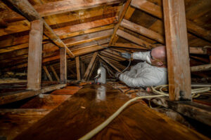 Asbestos Testing